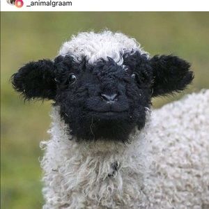 Meet your Posher, Emy